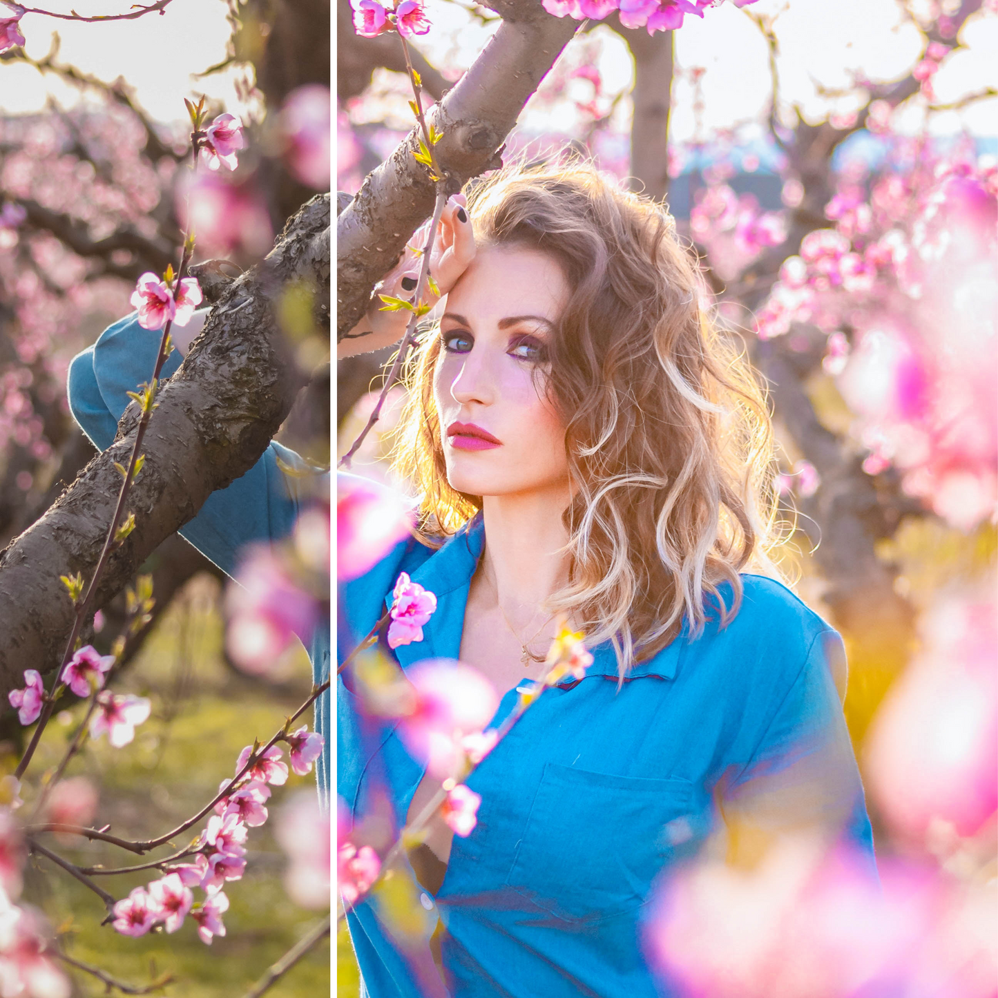 Colorful | Free Lightroom Preset By Lily Grace